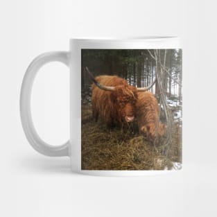 Scottish Highland Cattle Cow and Calf 1860 Mug